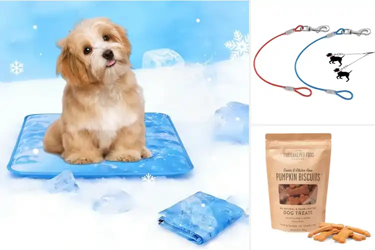 Detailed view of Best All-Dog Suitable: 10 Must-Have Essentials for Every Pup