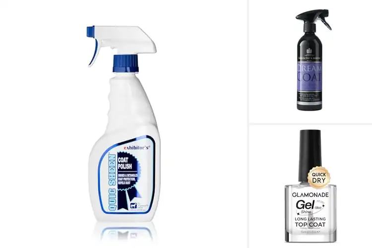 Detailed view of Best Coat Shine: Top 10 Products for a Mirror-Like Finish
