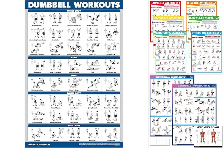 Detailed view of Best Exercise Instructional Posters