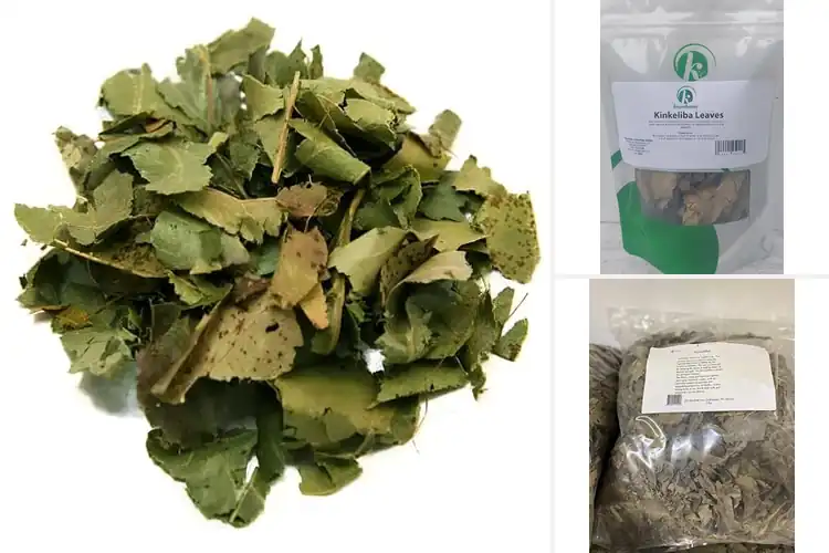 Detailed view of Best Organic Kinkeliba Leaves