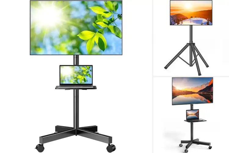Detailed view of Best Portable TV Stands