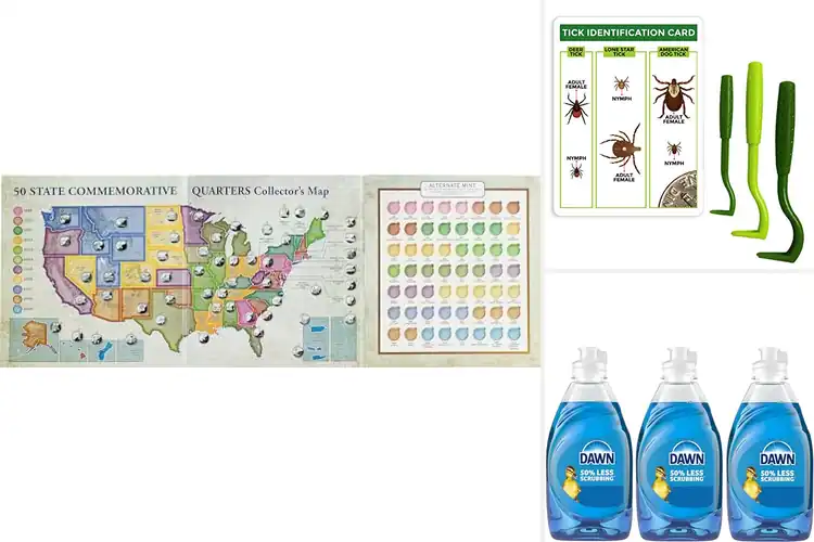 Detailed view of Best Three Pack Value: Top Picks for Stress-Free Shopping