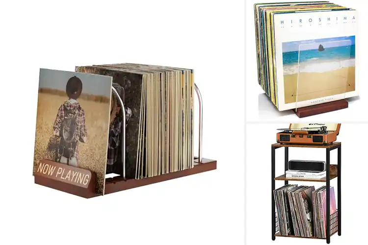 Detailed view of Best Vinyl Record Organizers